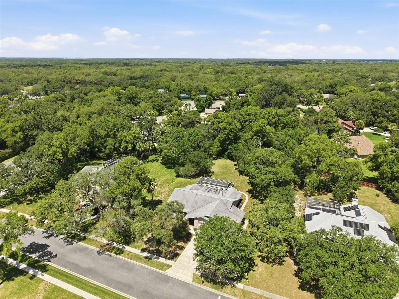 18451 WINDING OAKS BLVD, HUDSON, FL — photo 53