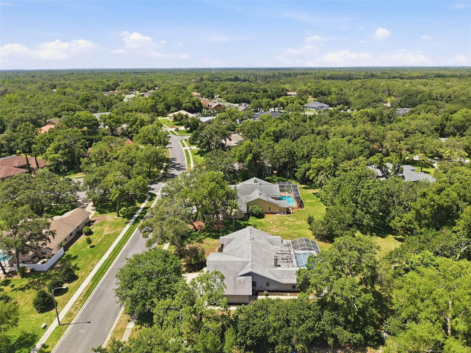 18451 WINDING OAKS BLVD, HUDSON, FL — photo 55