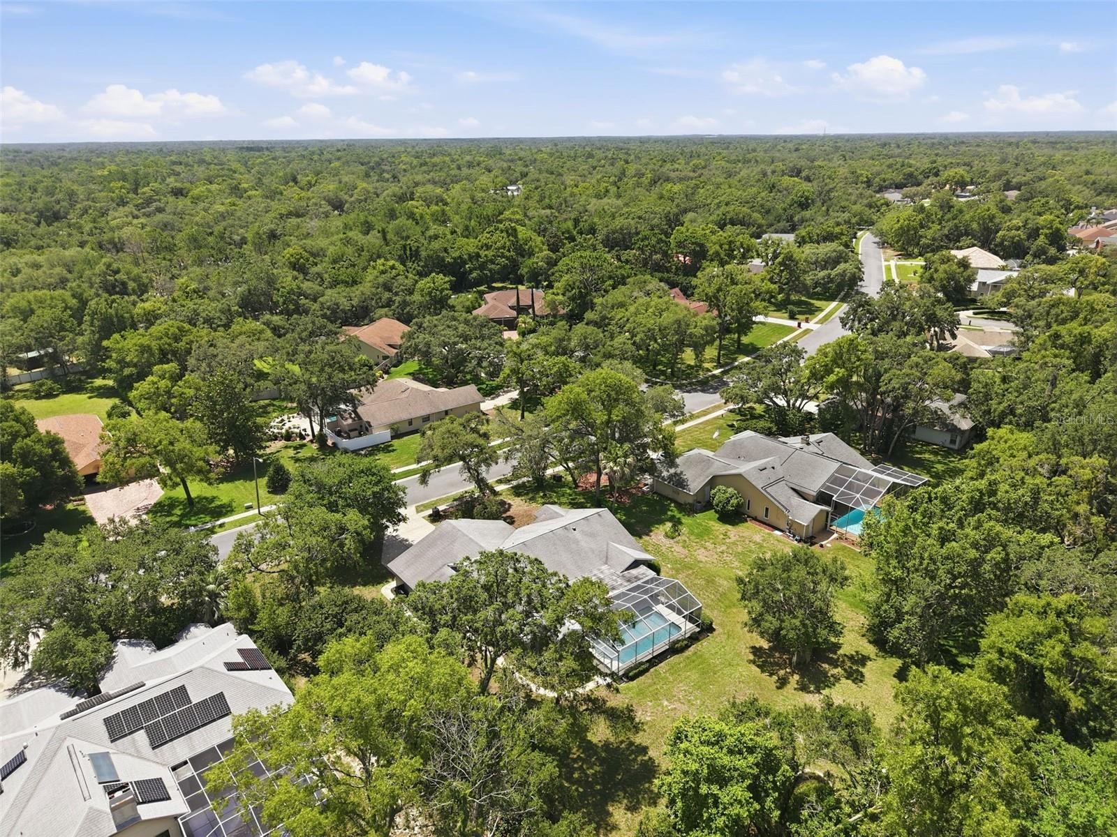 18451 WINDING OAKS BLVD, HUDSON, FL — photo 51