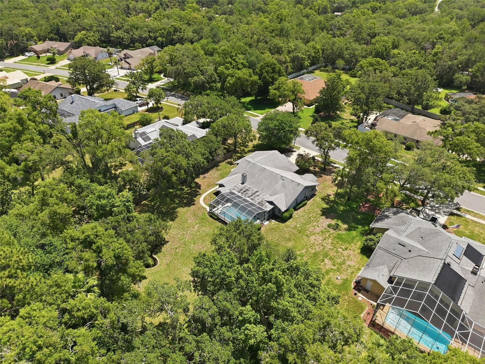 18451 WINDING OAKS BLVD, HUDSON, FL — photo 57