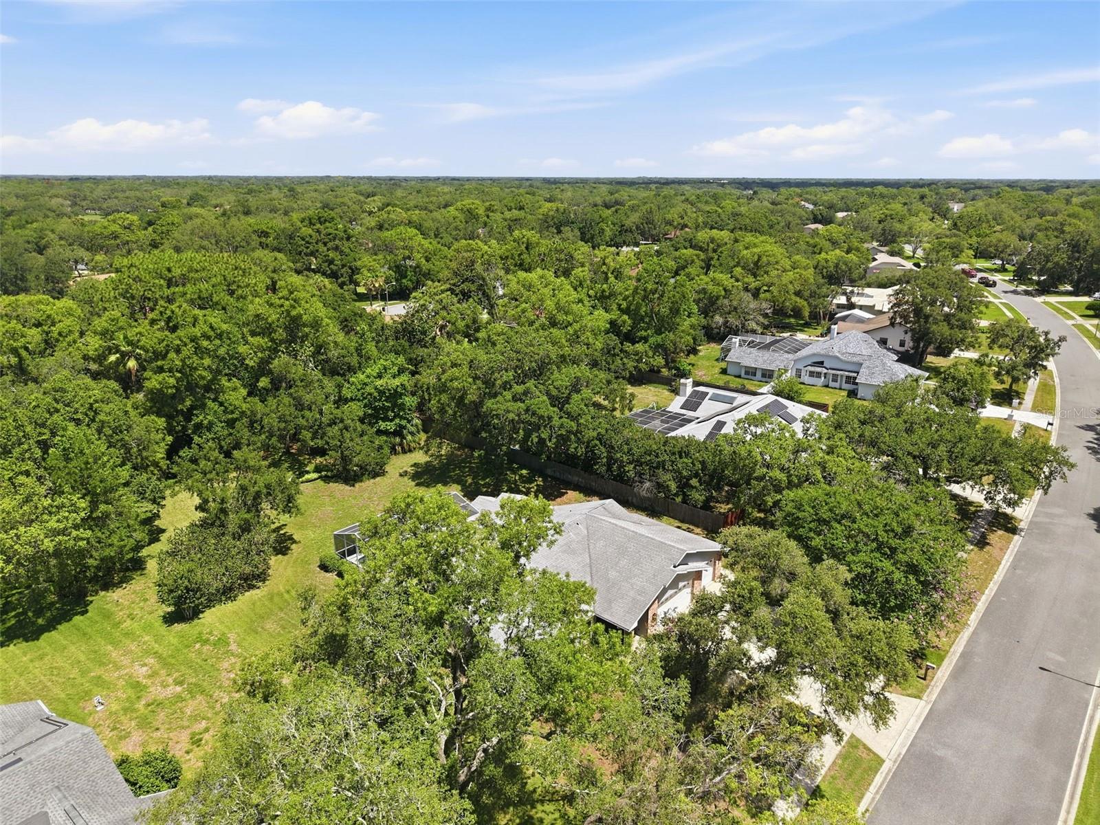 18451 WINDING OAKS BLVD, HUDSON, FL — photo 59