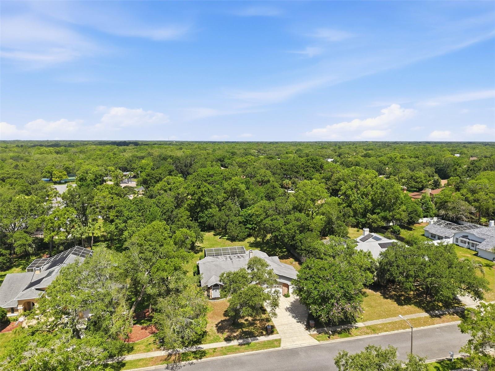 18451 WINDING OAKS BLVD, HUDSON, FL — photo 60
