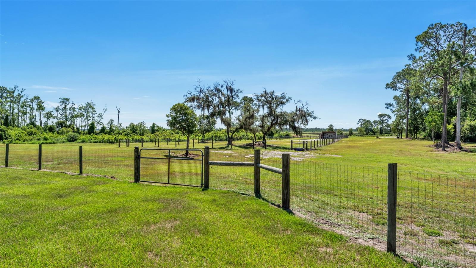 339 MINI RANCH RD, SEBRING, FL — photo 96