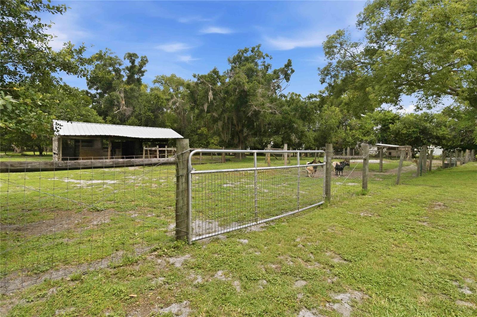 3050 S INDIANA AVE, ST CLOUD, FL — photo 46