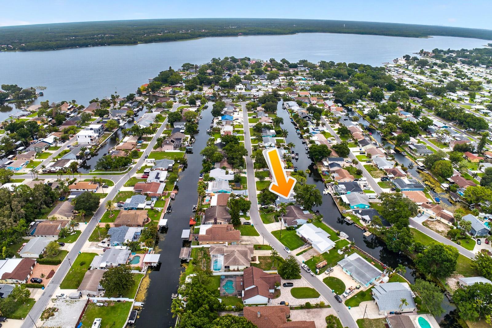 16 CITRUS DR, PALM HARBOR, FL — photo 42