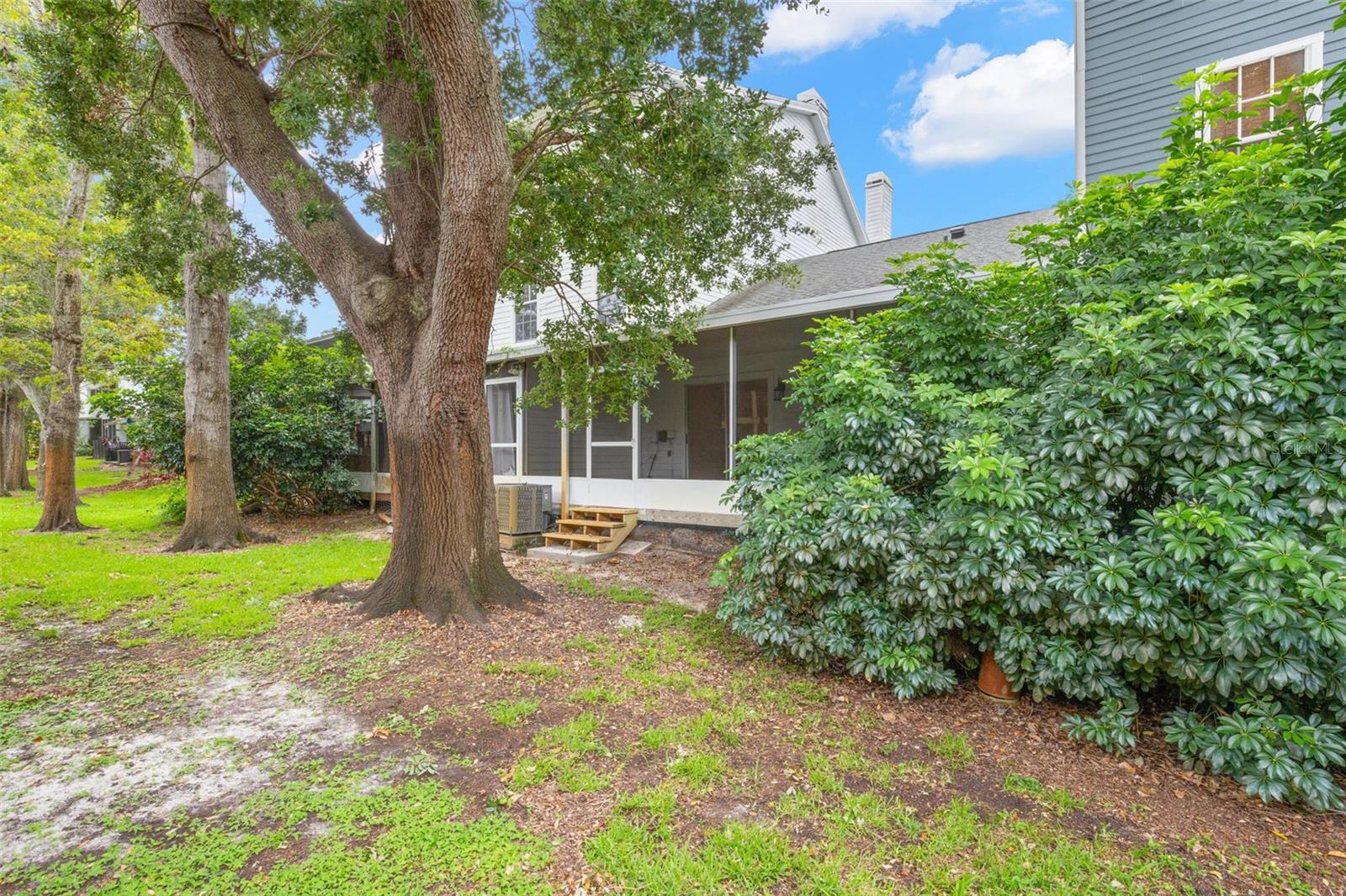 248 ST IVES DR #248, PALM HARBOR, FL — photo 27