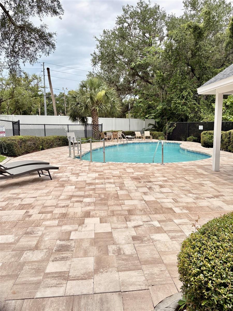 248 ST IVES DR #248, PALM HARBOR, FL — photo 31