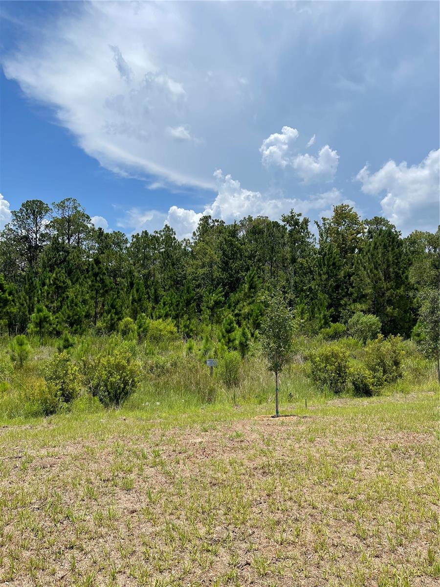 7630 BENT TREE LOOP, ST CLOUD, FL — photo 4