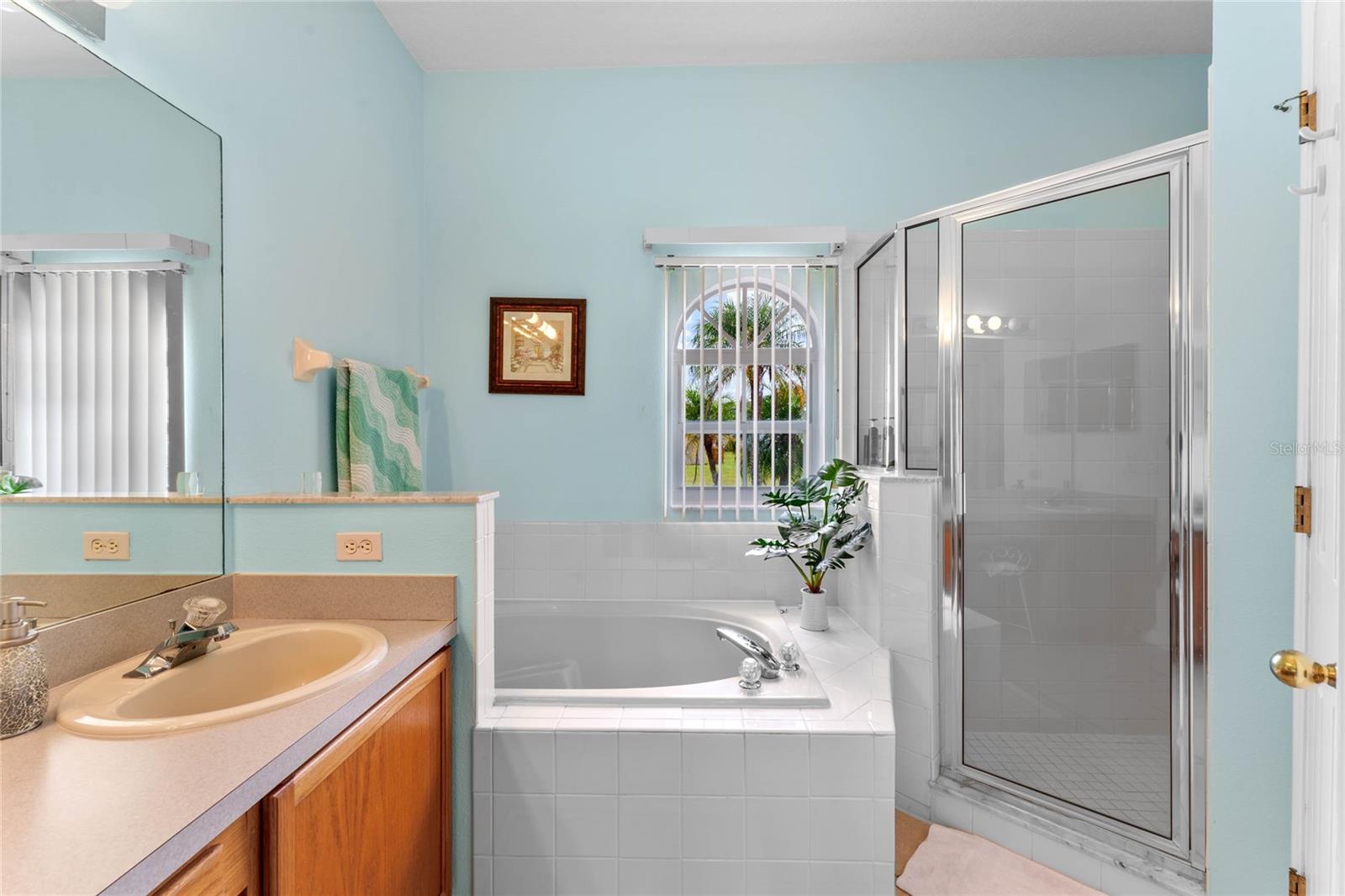 323 ALEGRIANO CT, KISSIMMEE, FL — photo 29