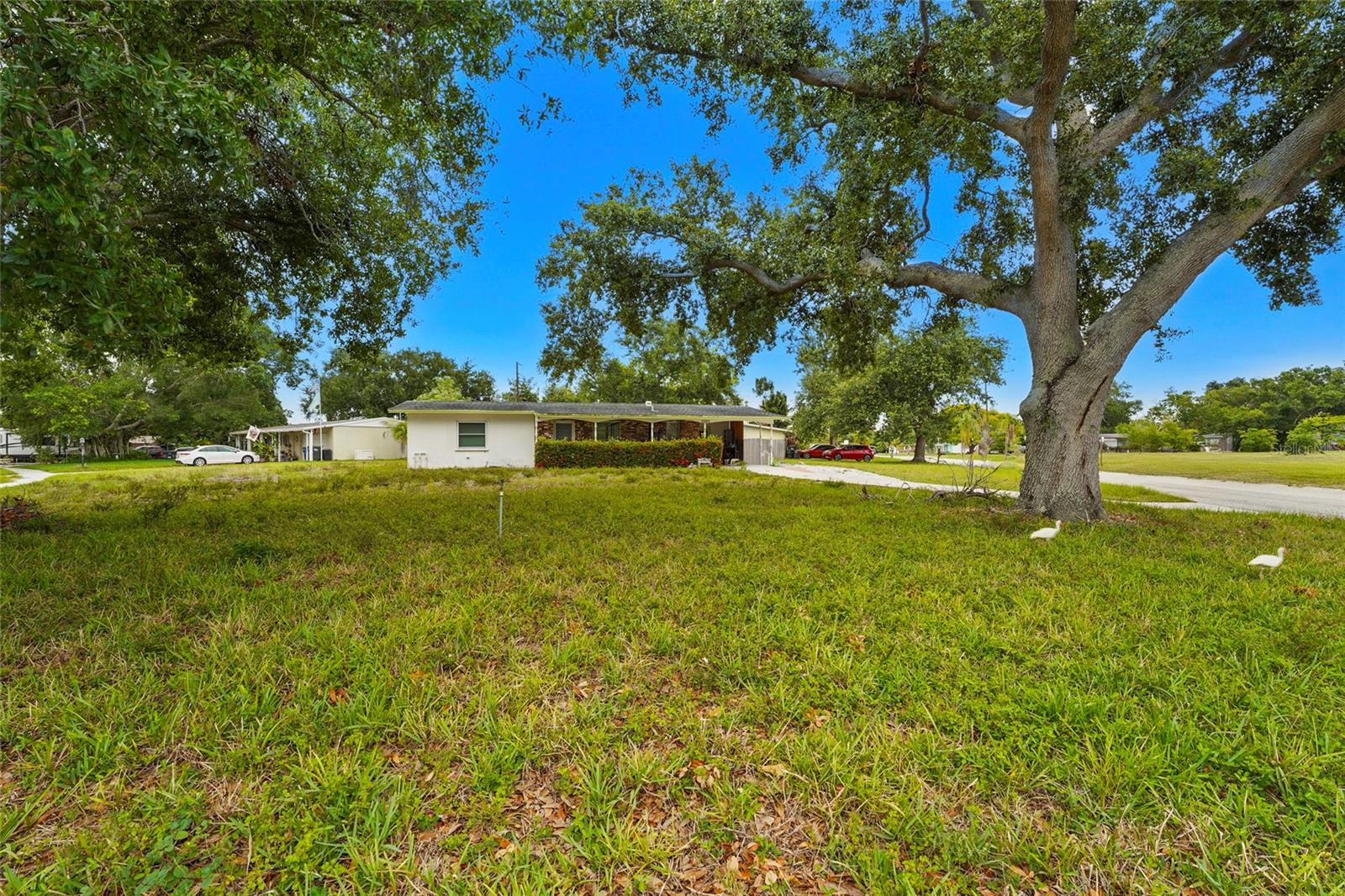 5320 41ST AVE W, BRADENTON, FL — photo 3