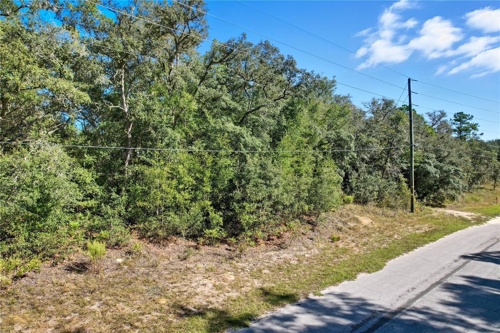 10562 N ADLER DR, CITRUS SPRINGS, FL — photo 3