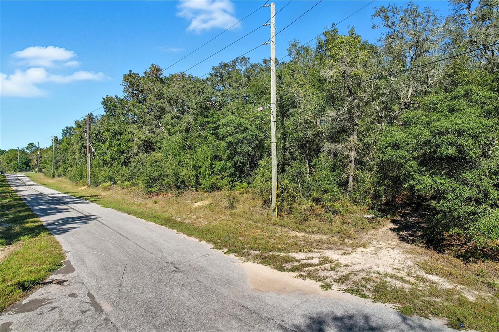 10562 N ADLER DR, CITRUS SPRINGS, FL — photo 5