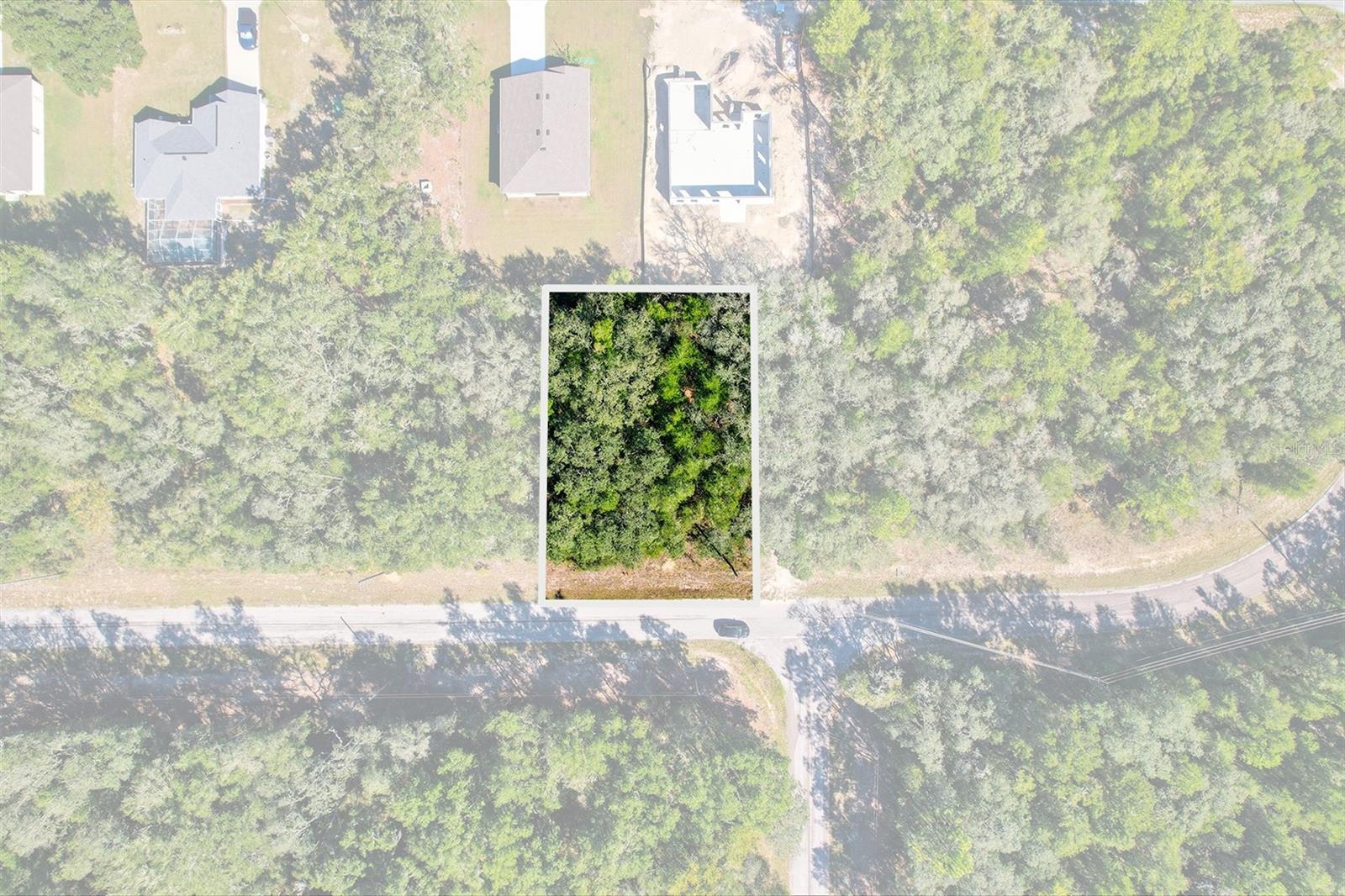10562 N ADLER DR, CITRUS SPRINGS, FL — photo 6
