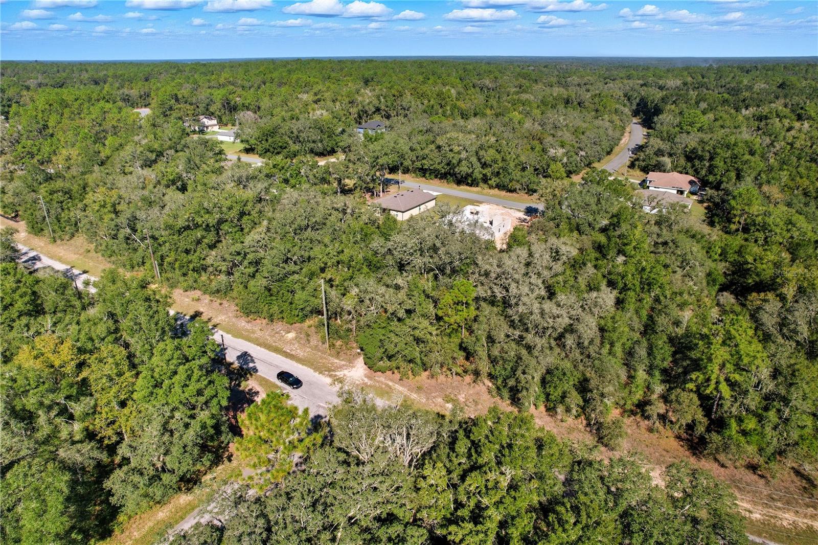 10562 N ADLER DR, CITRUS SPRINGS, FL — photo 13