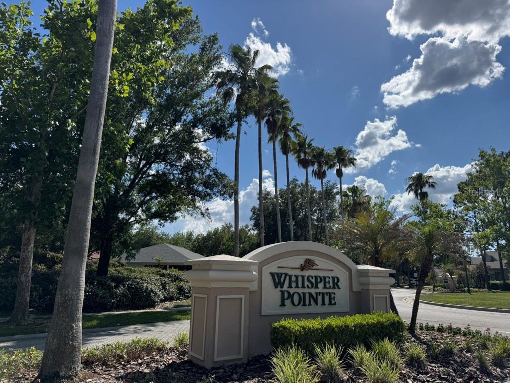 10110 WHISPER POINTE DR, TAMPA, FL — photo 42