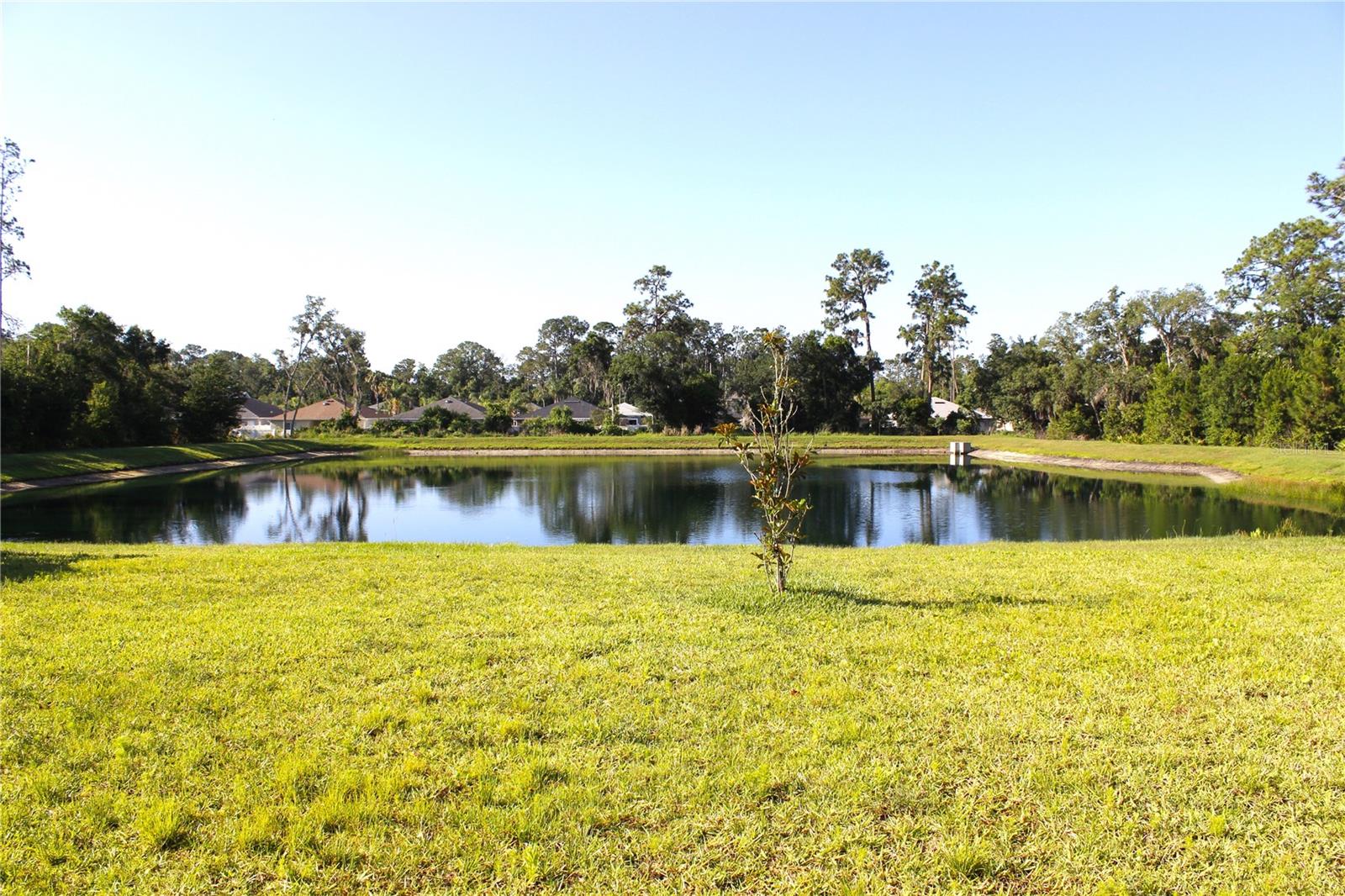 30600 THUNDERBIRD DR, WESLEY CHAPEL, FL — photo 13