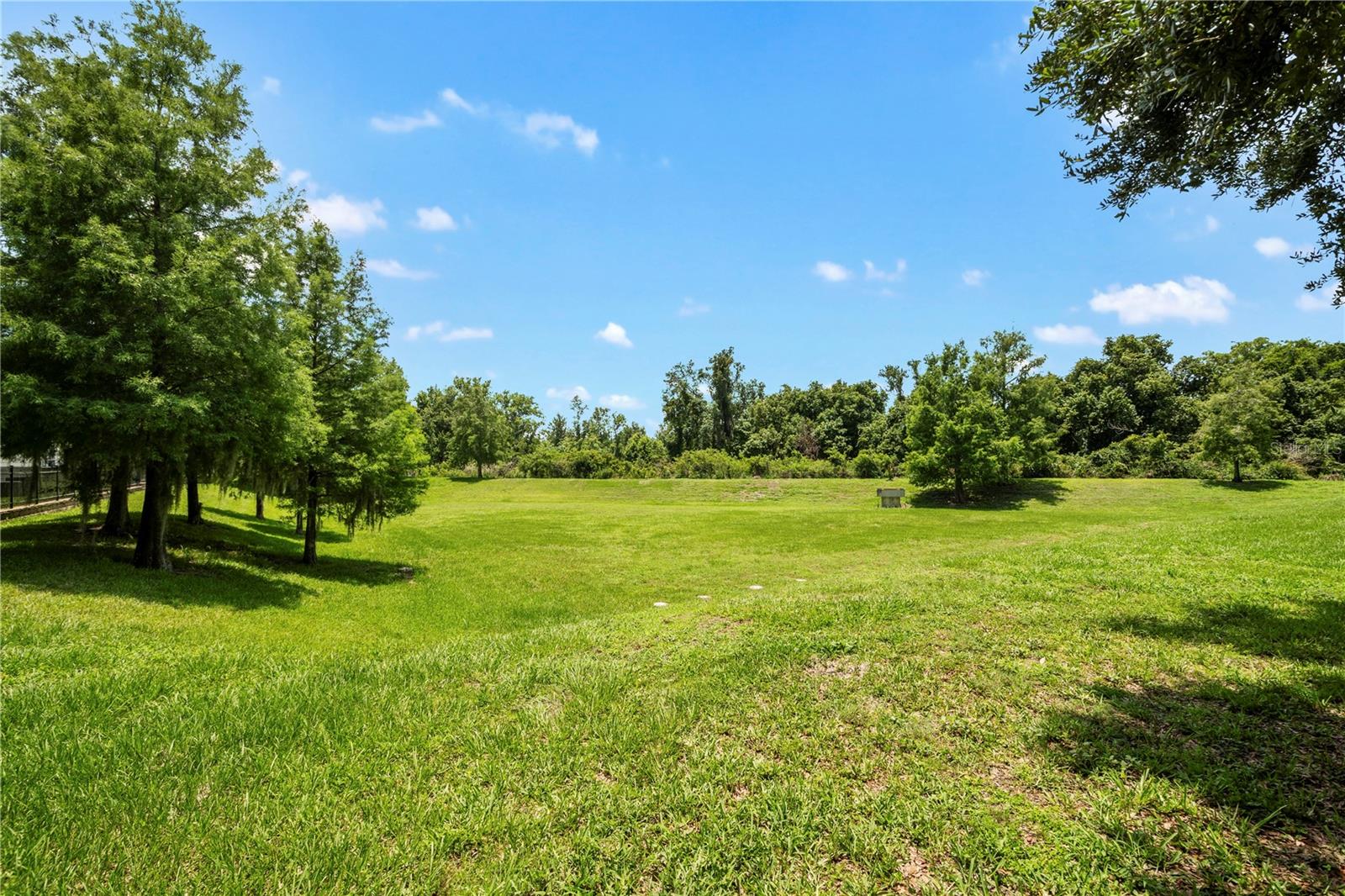 142 SOUTHERN PECAN CIR #205, WINTER GARDEN, FL — photo 51