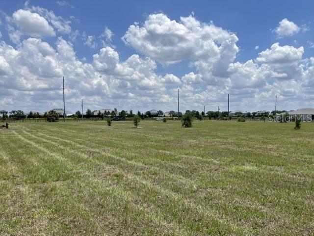 15202 PATTERSON RD, ODESSA, FL