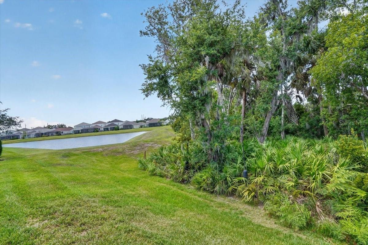 11675 GREAT BROOK LN, PARRISH, FL — photo 26