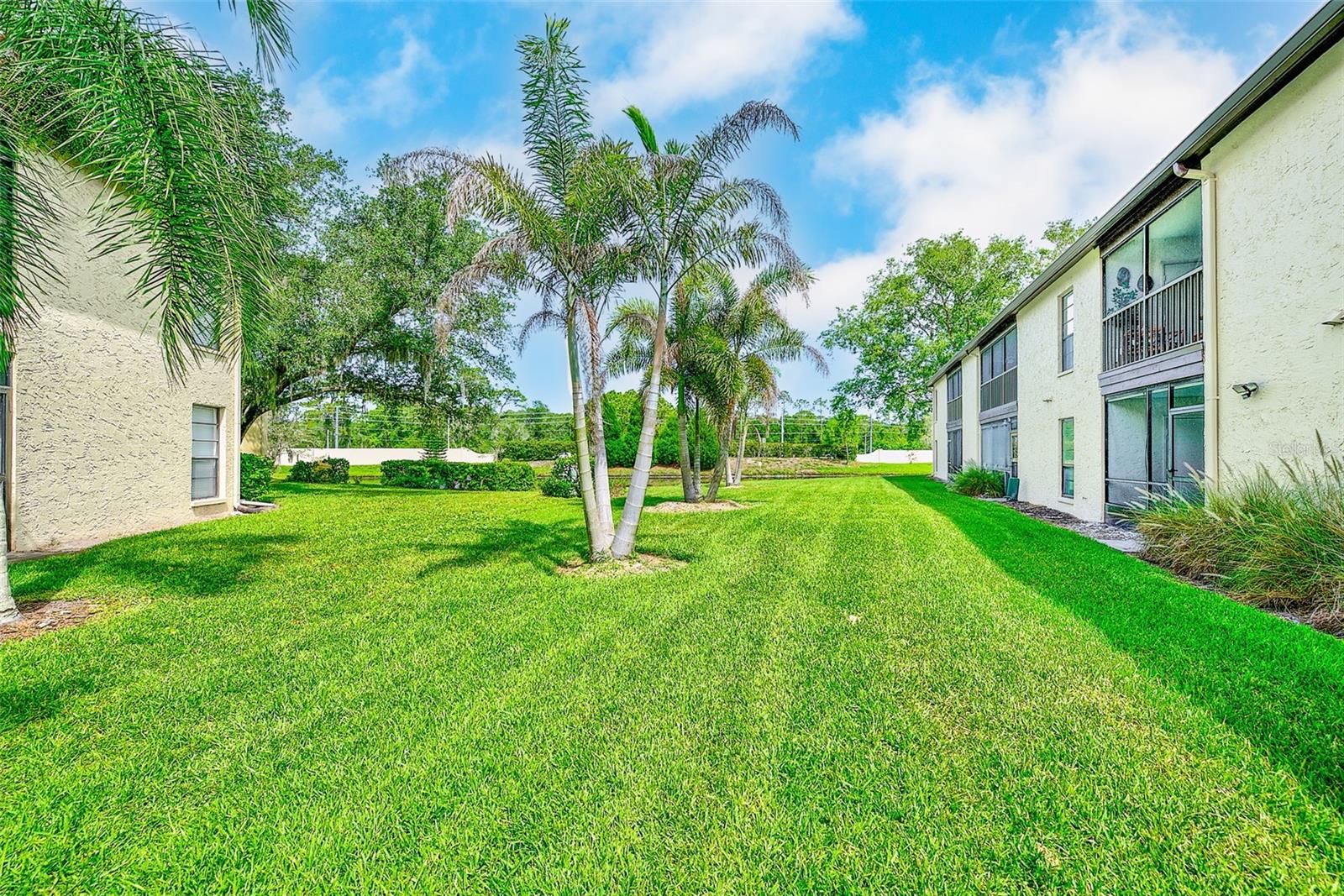 1801 E LAKE RD #10F, PALM HARBOR, FL — photo 36