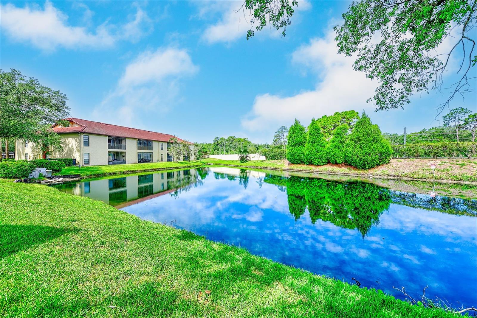 1801 E LAKE RD #10F, PALM HARBOR, FL — photo 37