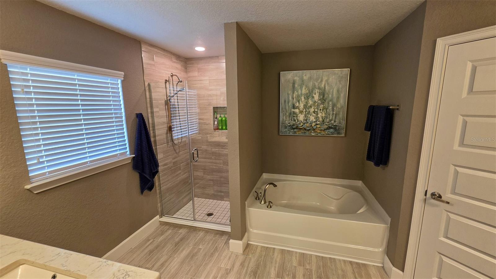 29 MATRICARIA CT, HOMOSASSA, FL — photo 48