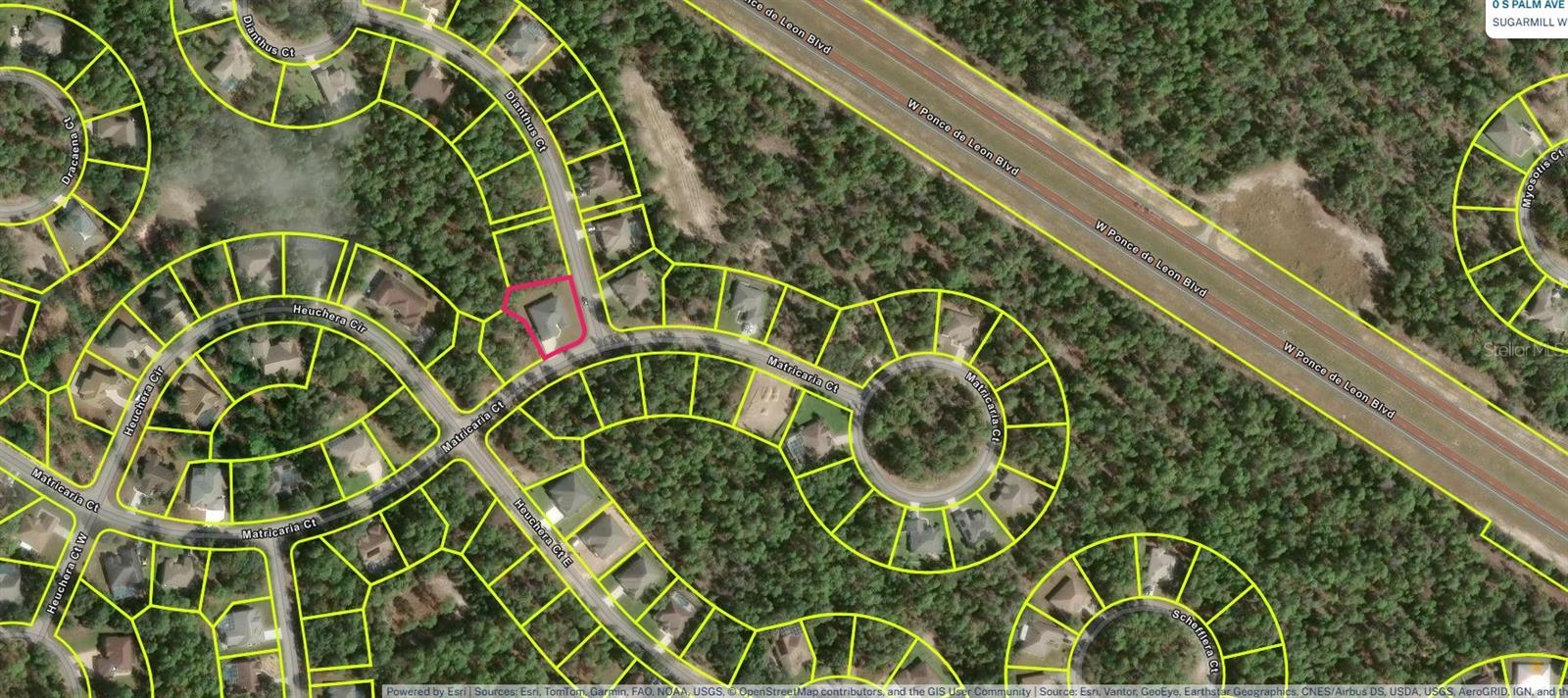 29 MATRICARIA CT, HOMOSASSA, FL — photo 85