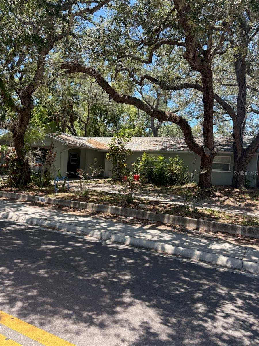 439 E MARTIN LUTHER KING JR DR, TARPON SPRINGS, FL — photo 3