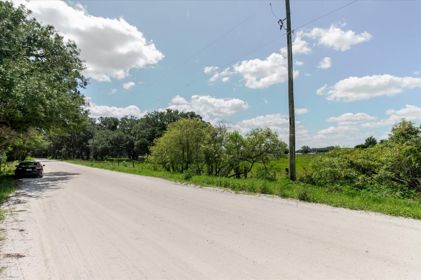 31668 HARTMAN RD, SAN ANTONIO, FL — photo 14