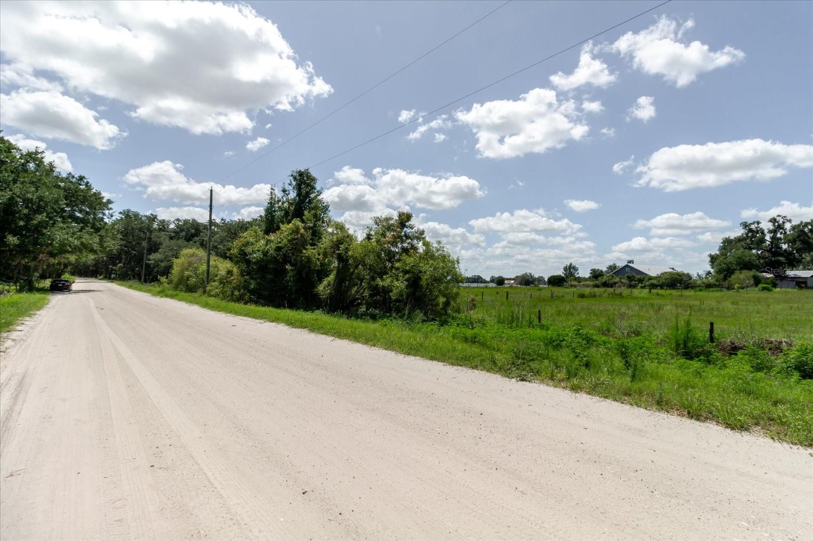31668 HARTMAN RD, SAN ANTONIO, FL — photo 15