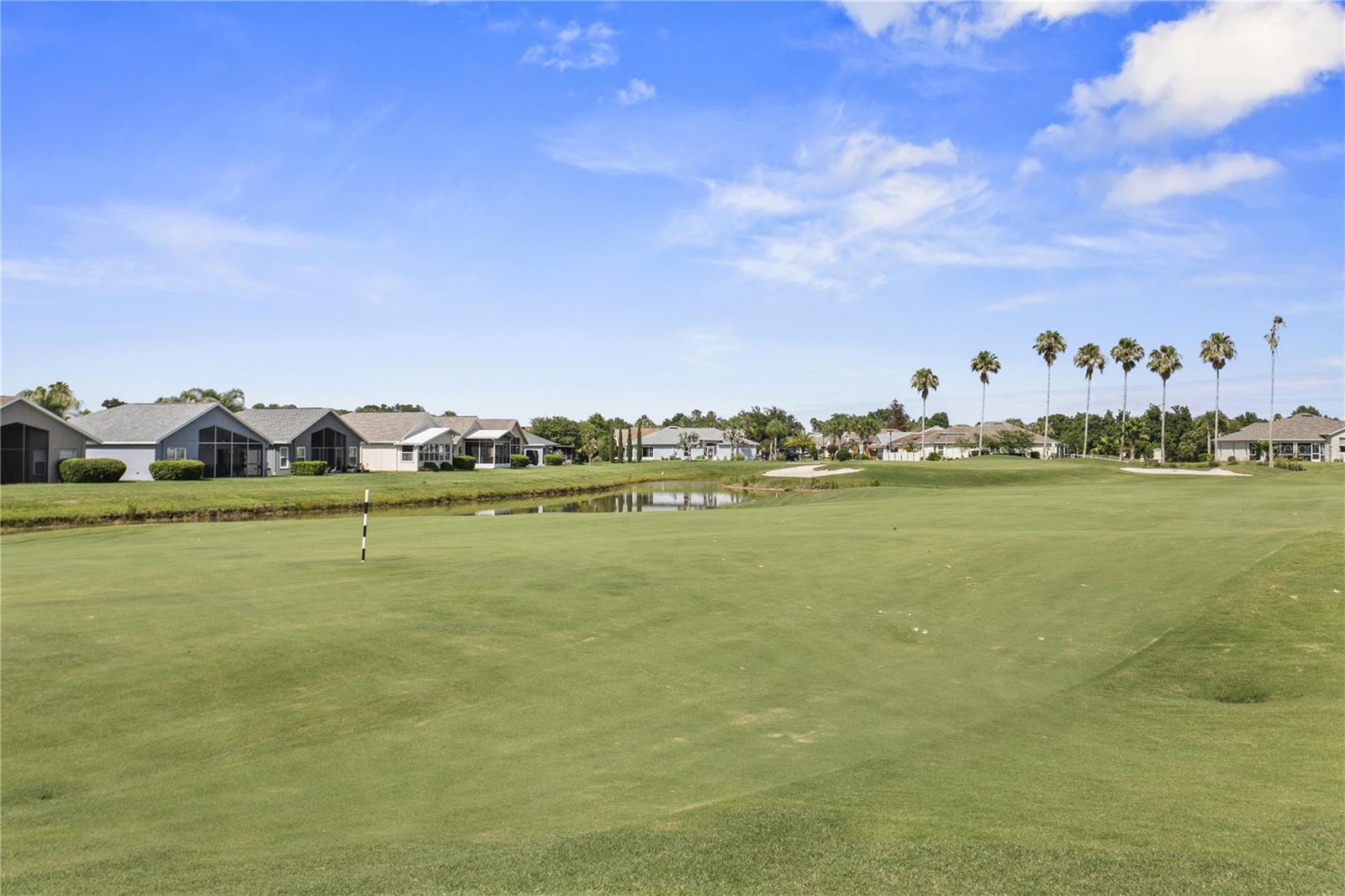 29255 GRASS BUNKER DR, SAN ANTONIO, FL — photo 5