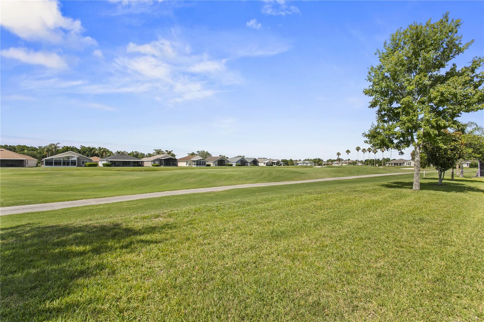 29255 GRASS BUNKER DR, SAN ANTONIO, FL — photo 10