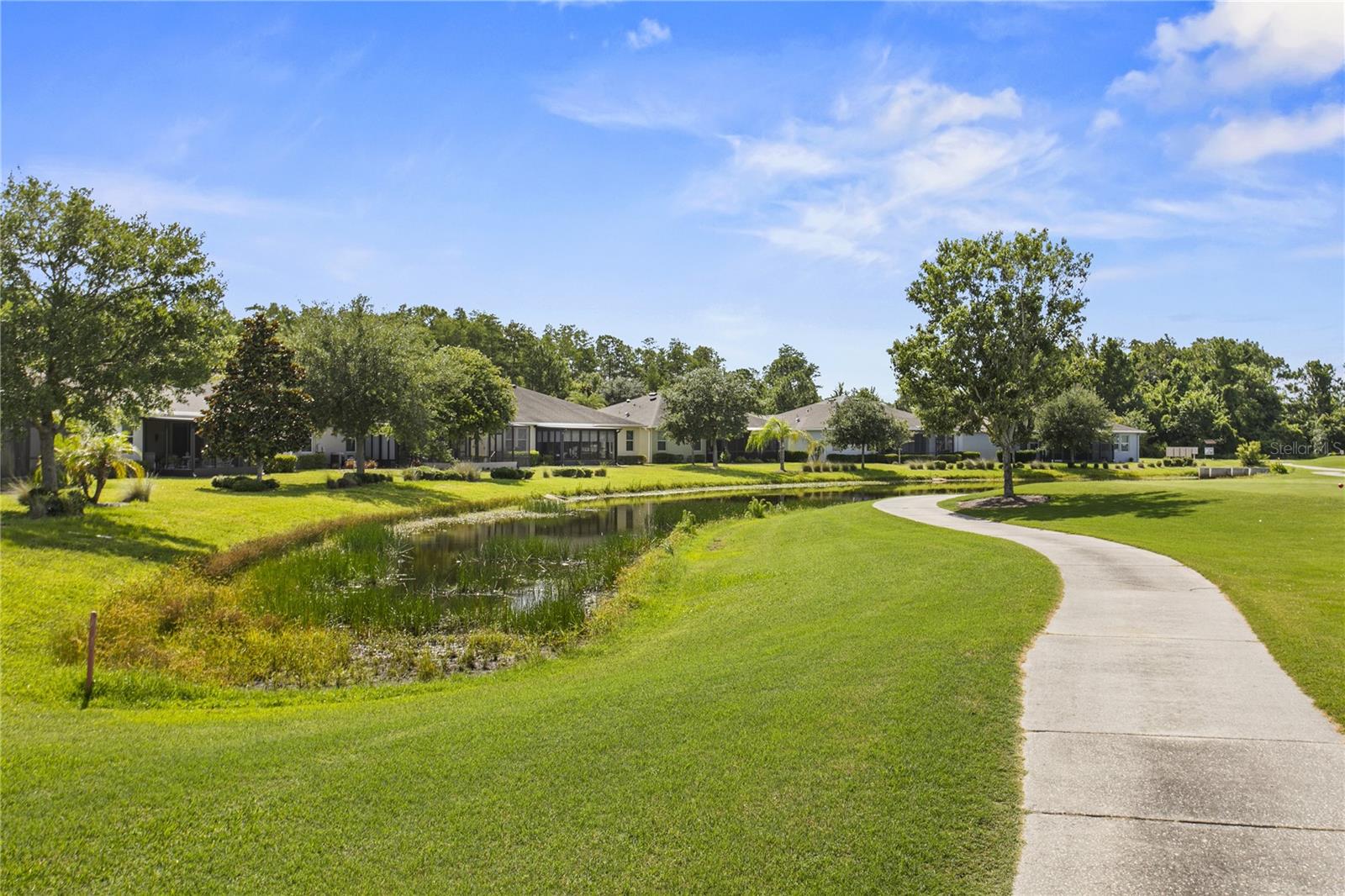 29255 GRASS BUNKER DR, SAN ANTONIO, FL — photo 20