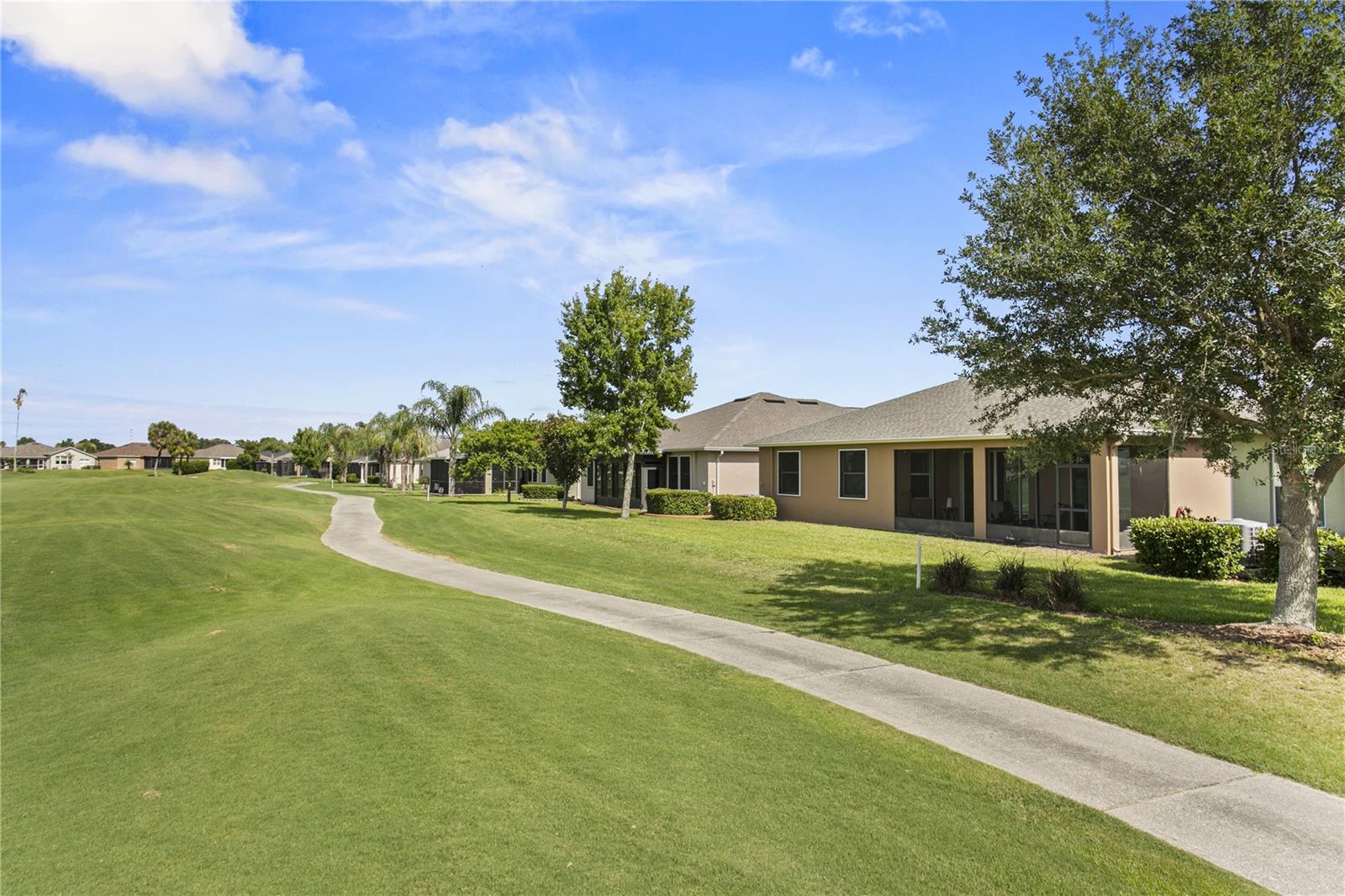 29255 GRASS BUNKER DR, SAN ANTONIO, FL — photo 30