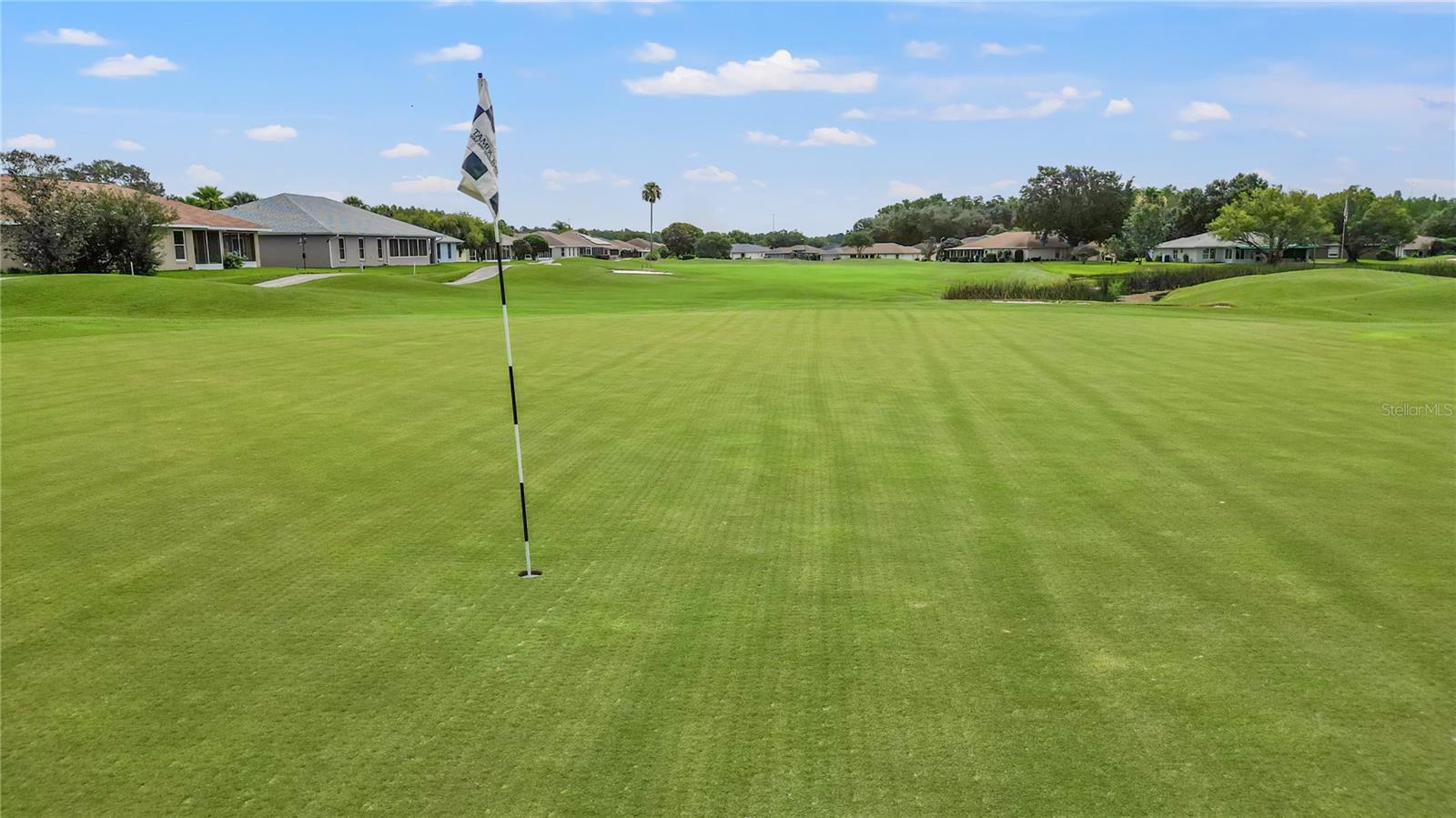 29255 GRASS BUNKER DR, SAN ANTONIO, FL — photo 52