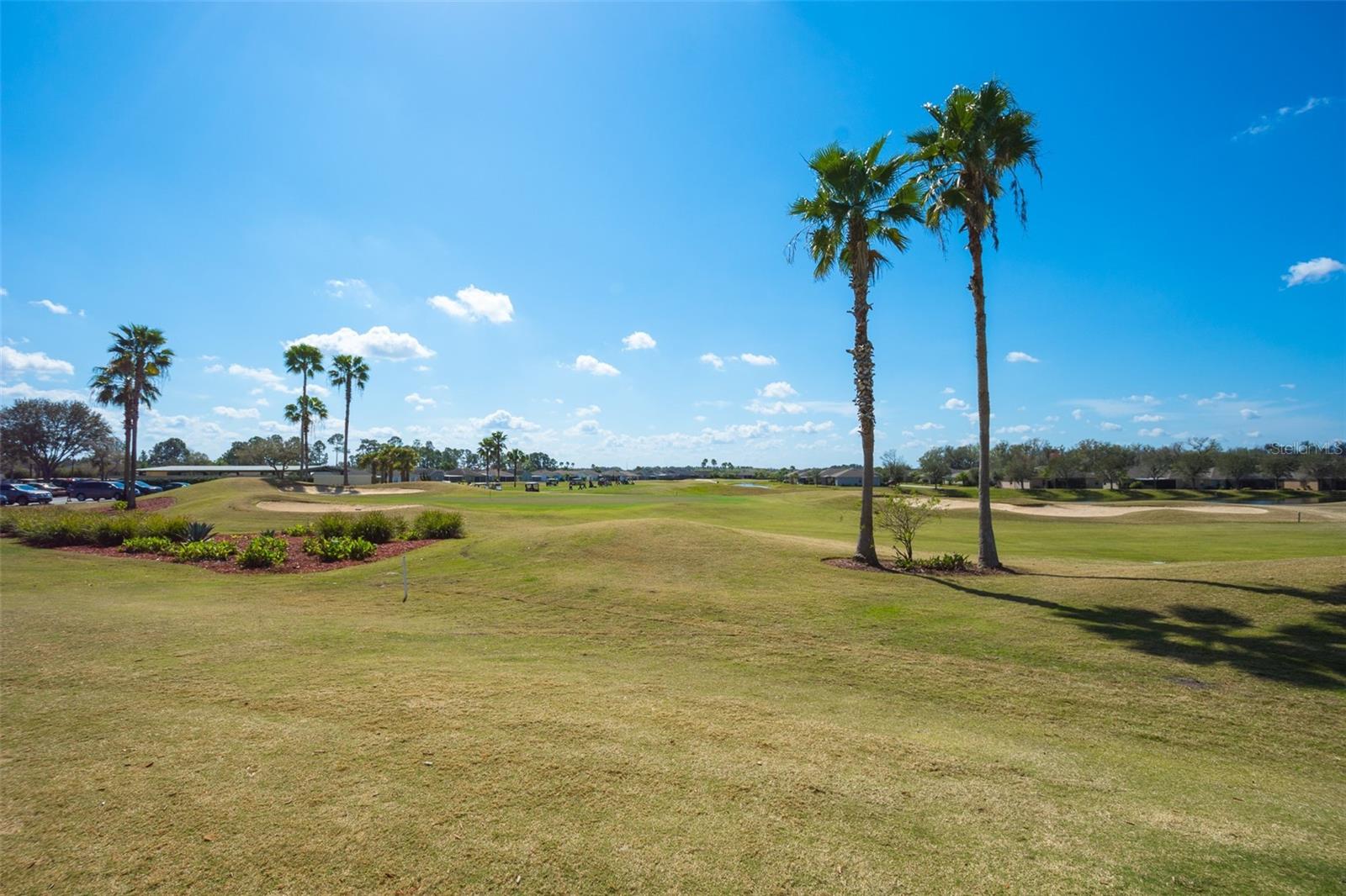 29255 GRASS BUNKER DR, SAN ANTONIO, FL — photo 62