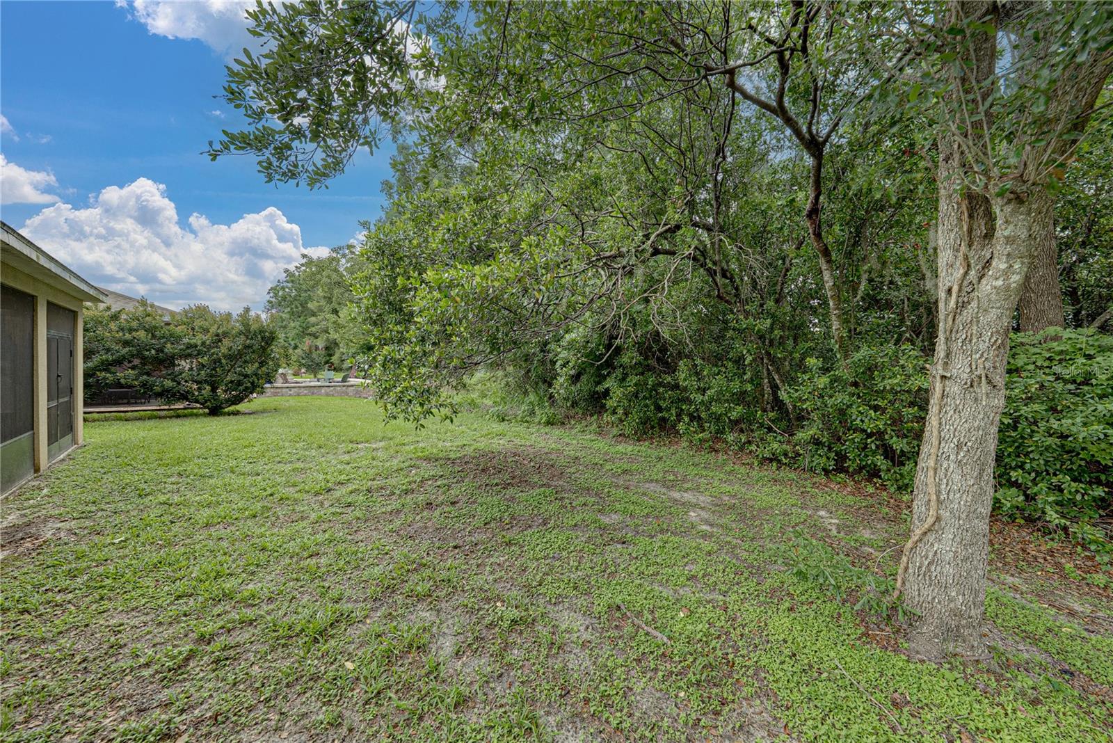12322 EASTPOINTE DR, DADE CITY, FL — photo 46
