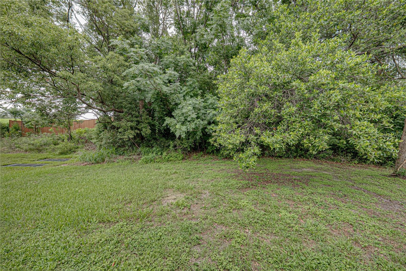 12322 EASTPOINTE DR, DADE CITY, FL — photo 47