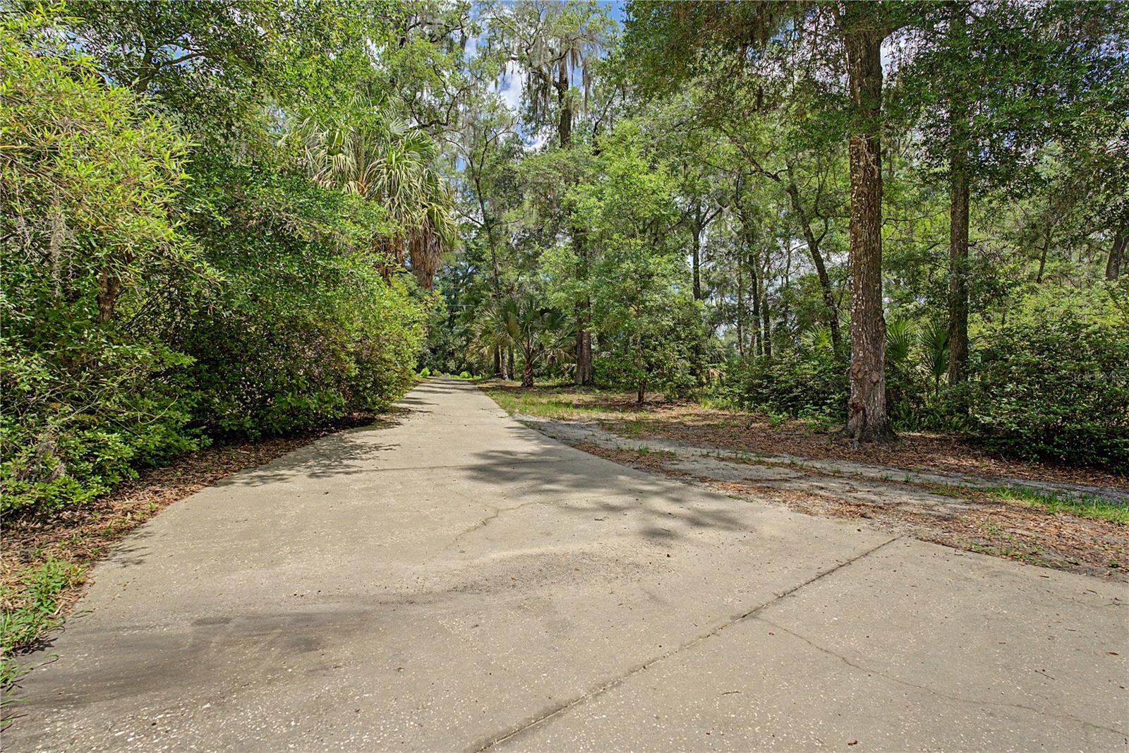 7999 SW 187TH AVE, DUNNELLON, FL — photo 51
