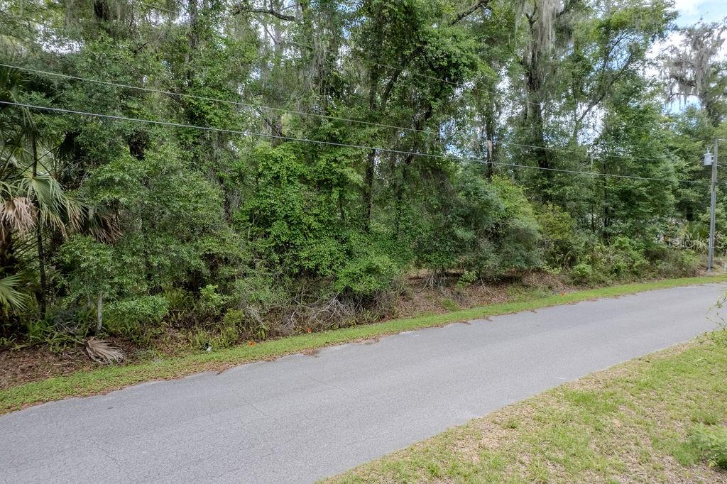 7999 SW 187TH AVE, DUNNELLON, FL — photo 63
