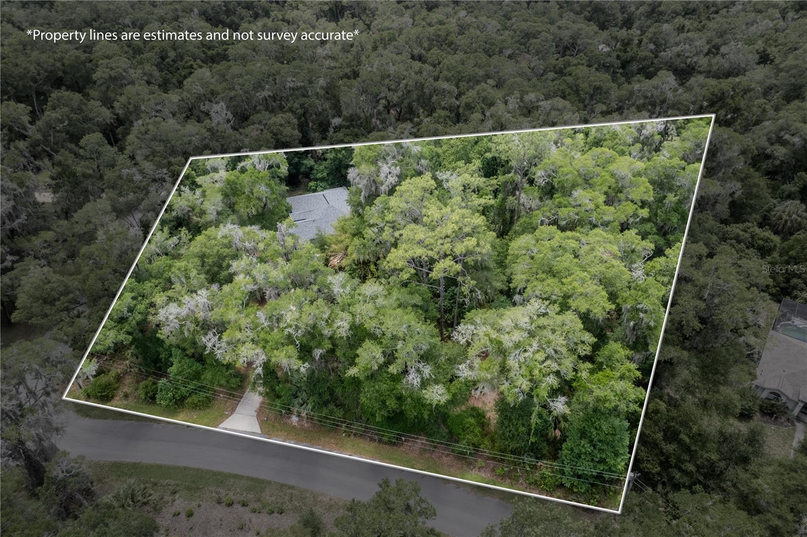 7999 SW 187TH AVE, DUNNELLON, FL — photo 69