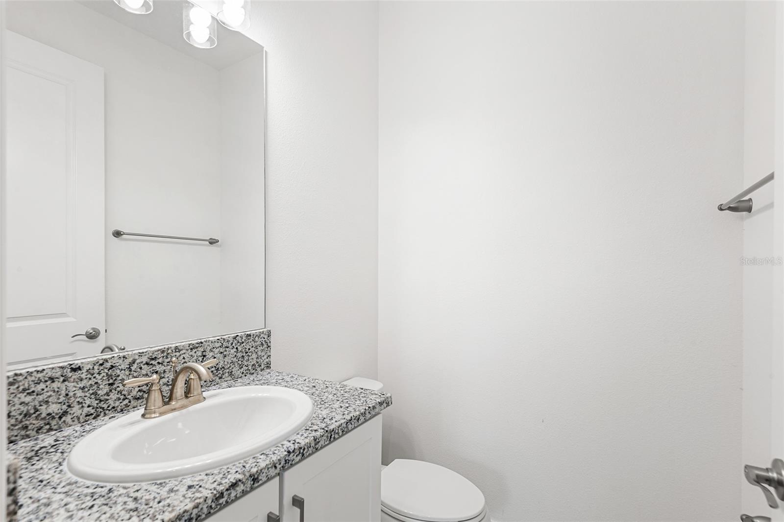 3101 HOLLOW HICKORY PL, WESLEY CHAPEL, FL — photo 24