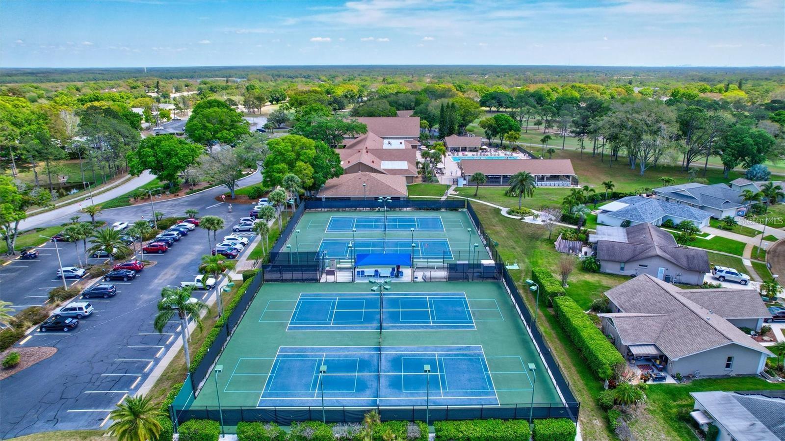 999 GILLESPIE DR, PALM HARBOR, FL — photo 22