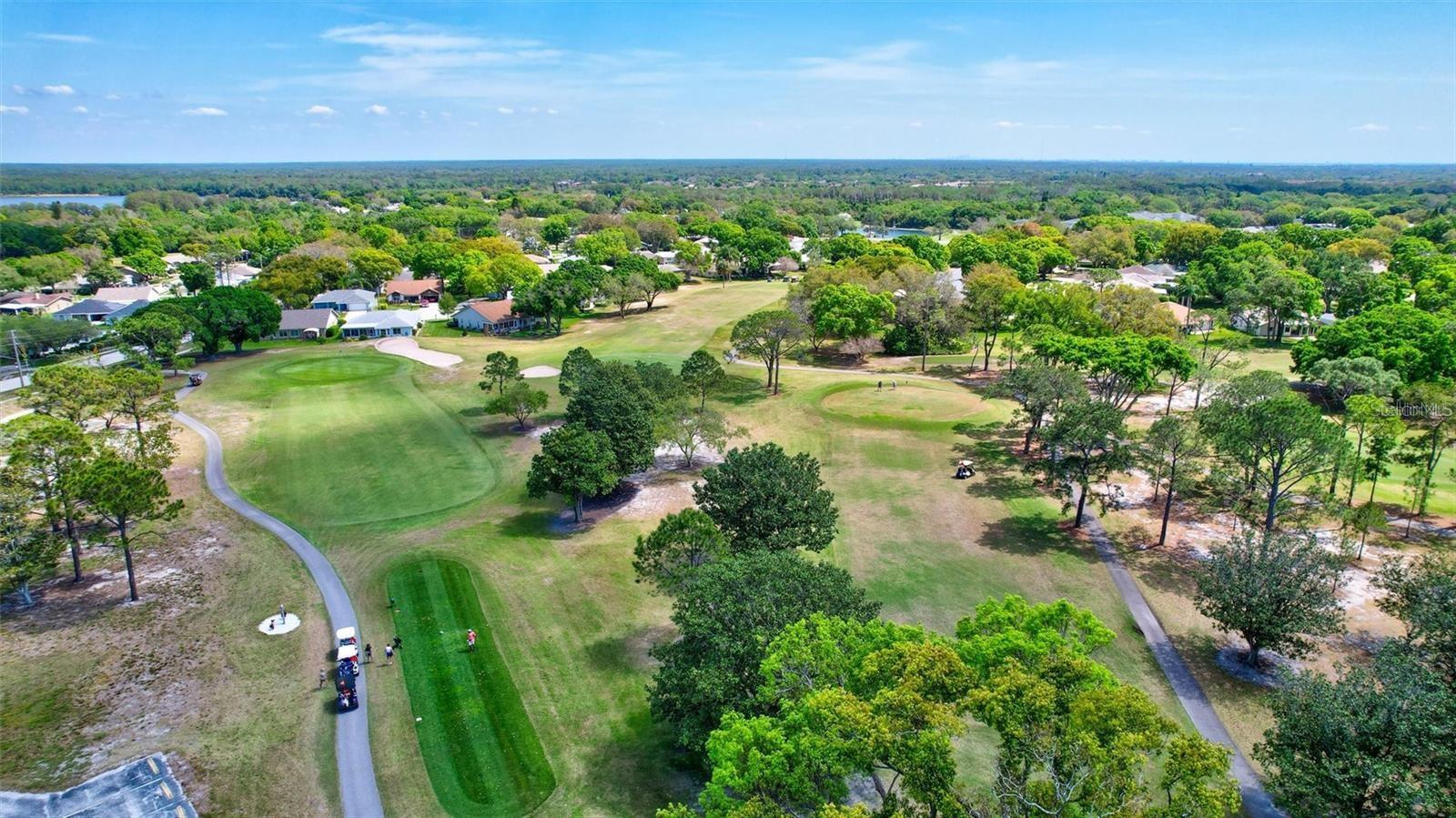 999 GILLESPIE DR, PALM HARBOR, FL — photo 23