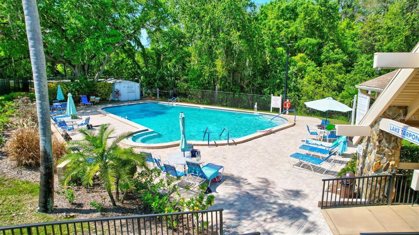 999 GILLESPIE DR, PALM HARBOR, FL — photo 32