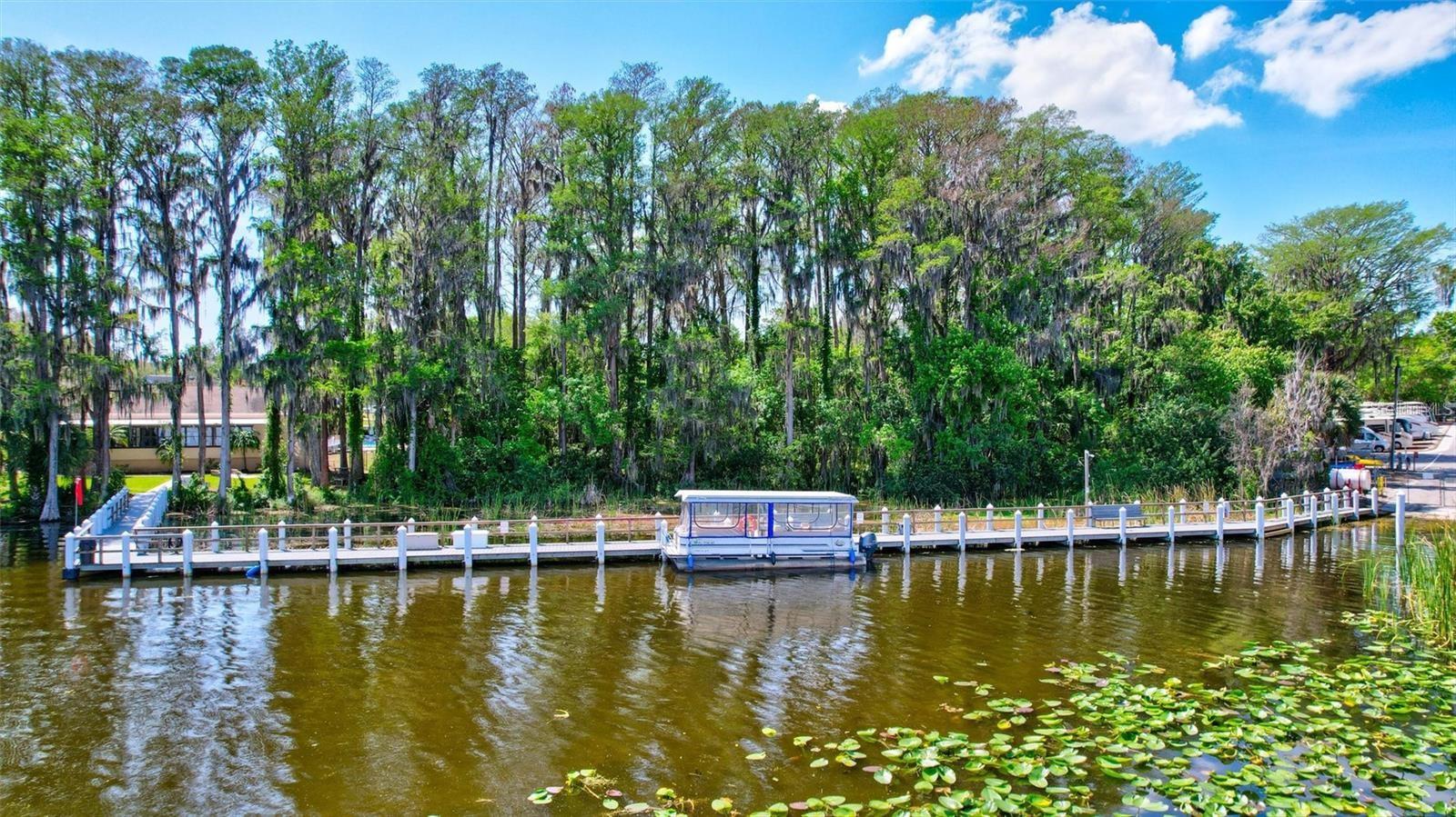 999 GILLESPIE DR, PALM HARBOR, FL — photo 34