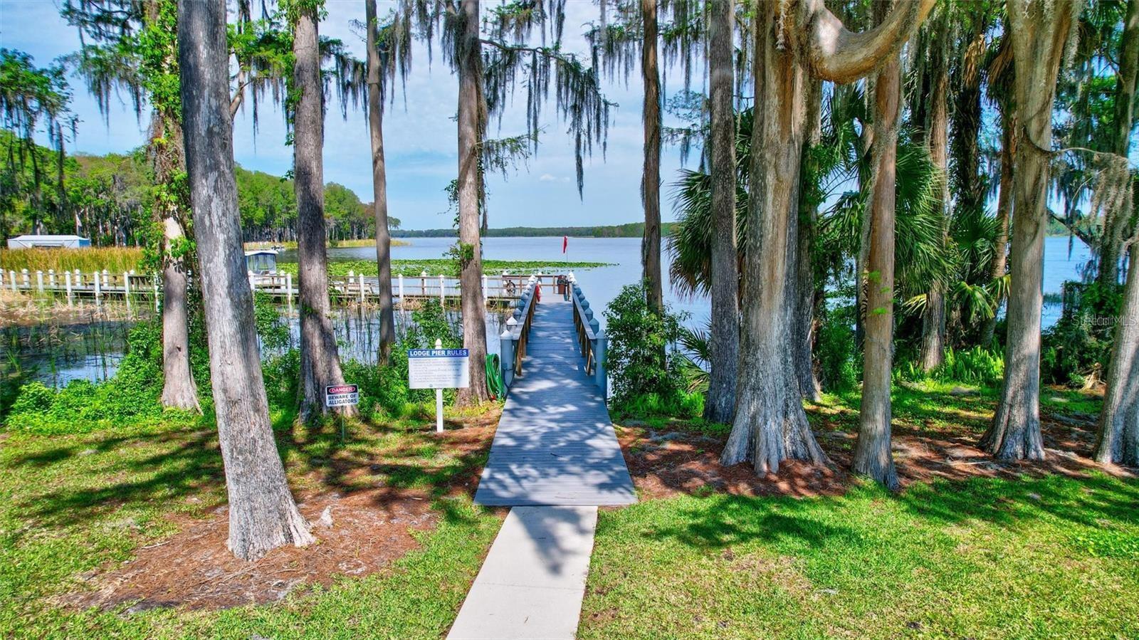 999 GILLESPIE DR, PALM HARBOR, FL — photo 36