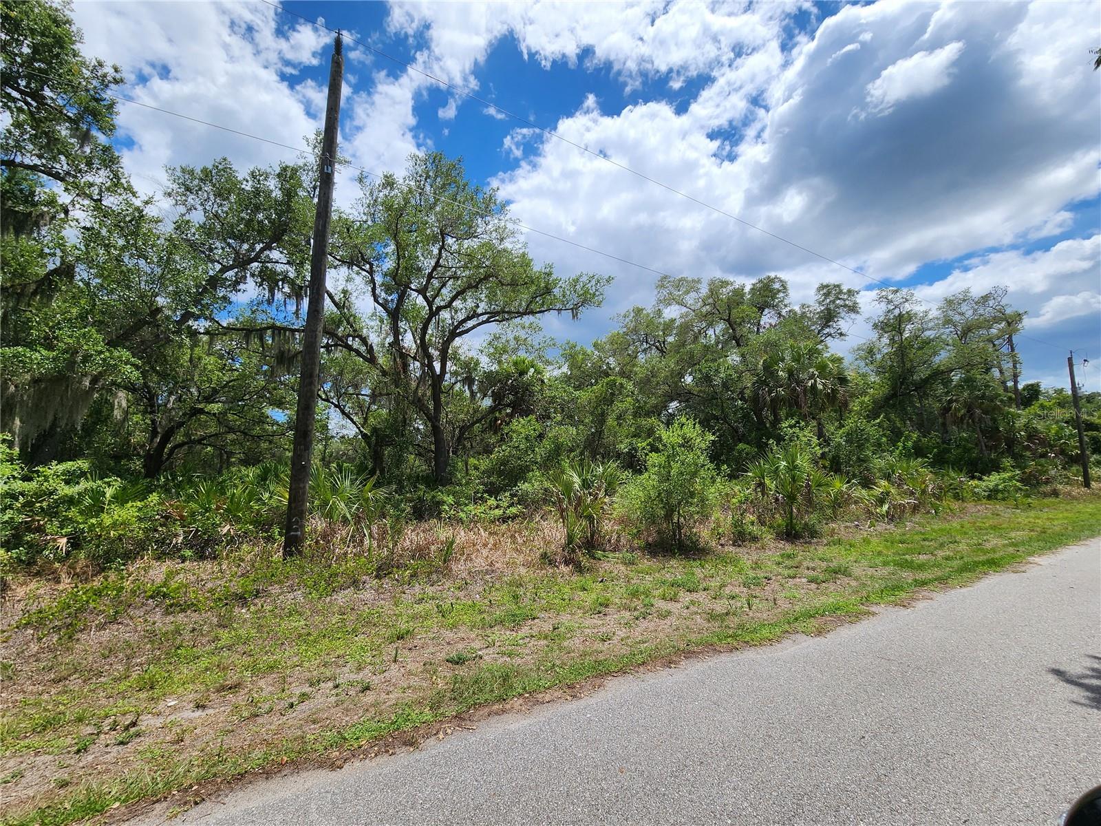 13397 LEATHERBURY AVE, PORT CHARLOTTE, FL — photo 5
