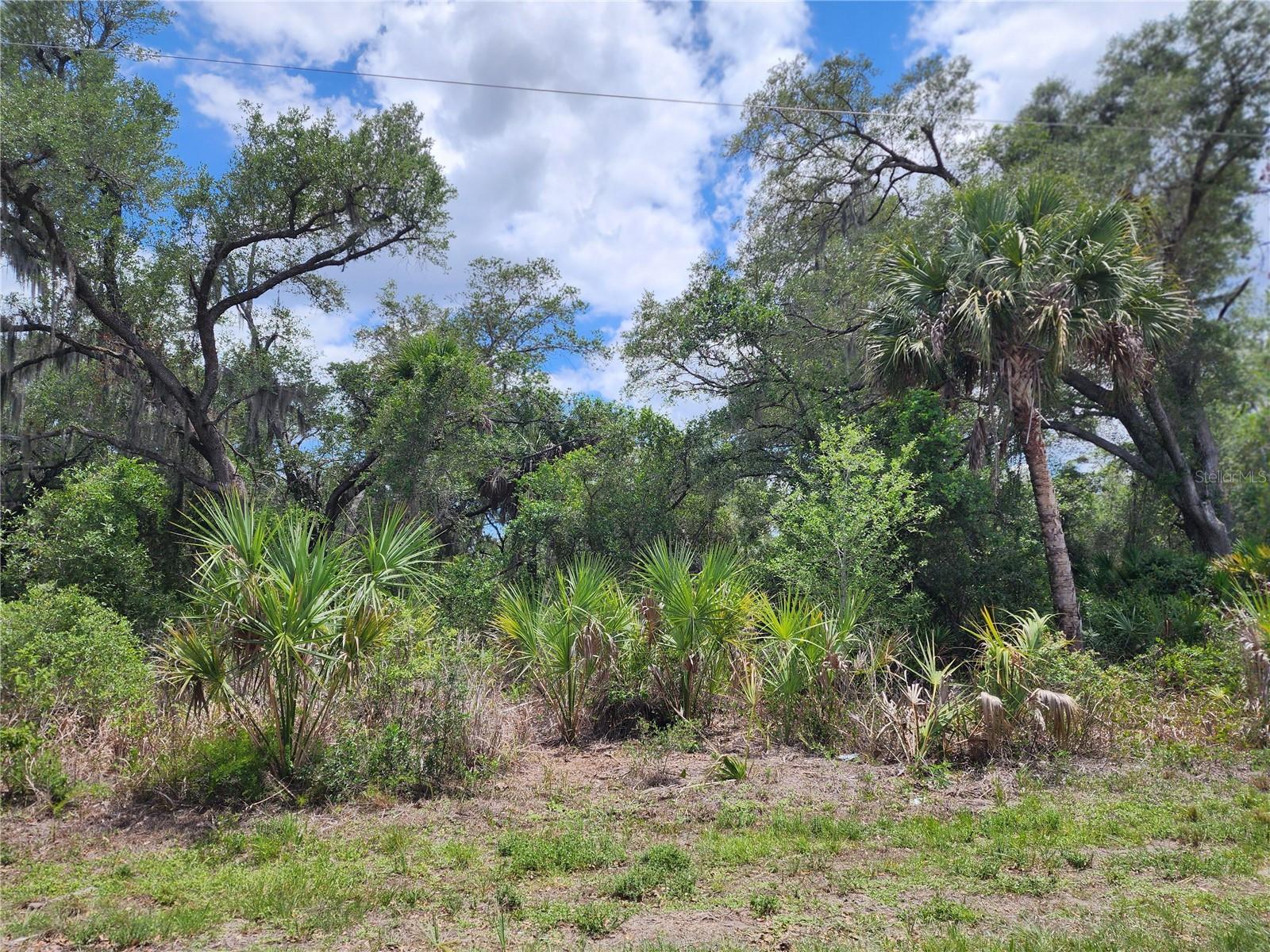 13397 LEATHERBURY AVE, PORT CHARLOTTE, FL — photo 9
