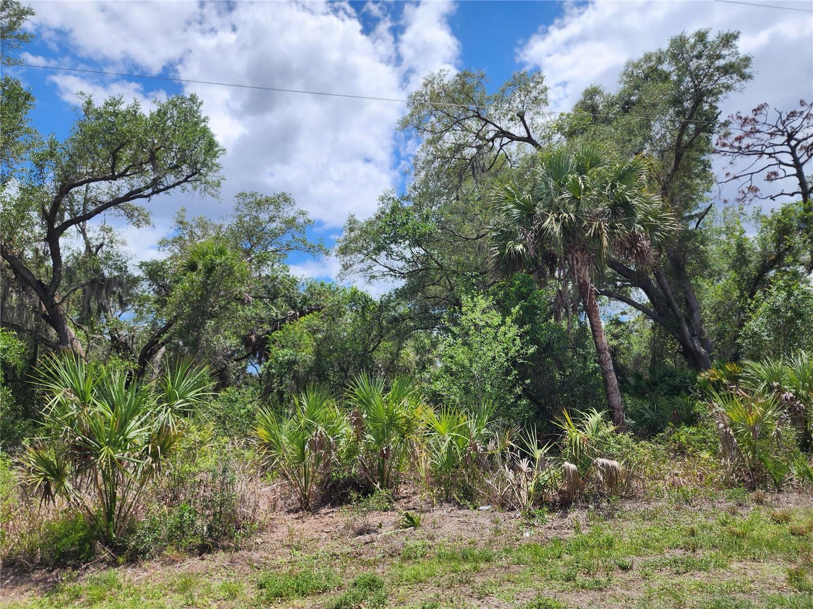 13397 LEATHERBURY AVE, PORT CHARLOTTE, FL — photo 10